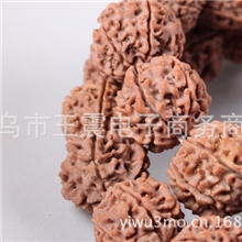六瓣金刚菩提子条散珠54颗一条17-22mm6瓣金刚