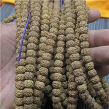 尼泊尔藏式五5瓣藏式六6瓣小金刚菩提8m9m10mm108颗基本清理通货