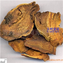 青海特产种植大黄250克排毒养颜去火