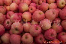 供应苹果