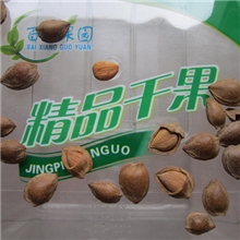 大量批发超低价天助牌小银杏、营养味道好