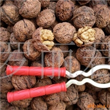 大量批发2013年新货新产云南纸皮核桃坚果干果类（大麻果）