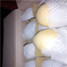 水晶鸭梨雪梨皇冠梨鸭梨出口量大从优（润鑫优质梨果供应商）