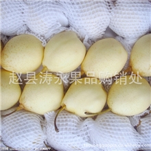 长期大量提供优质雪花梨，皇冠梨，鸭梨，最低的价格最好的服务