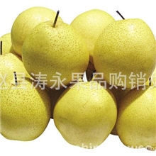 常年供应赵县雪梨60#，量大质优