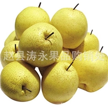 长期，大量供应冷库梨；雪梨，鸭梨，皇冠梨