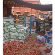 .【长期供应】大量供应不去袋子雪花梨