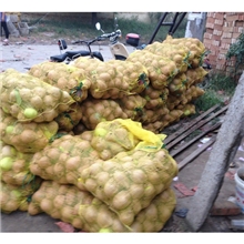 .【江湖热卖】大量供应不去袋子雪花梨