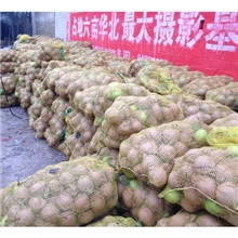 .【质量优秀】大量供应不去袋子雪花梨欢迎来电