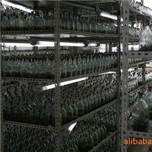 供应批发组培铁皮石斛种苗