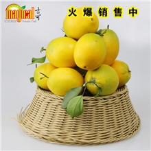 l纽荷尔脐橙预售中云南水果批发昆明进口水果水果橙子有机水