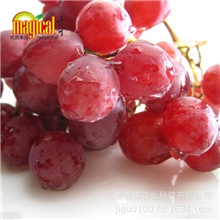 批发供应秘鲁红提水果国产水果云南水果批发新鲜水果