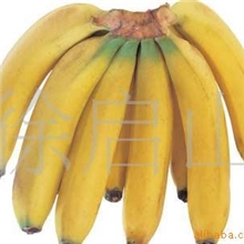 低价供应物美价廉香蕉欢迎来电咨询