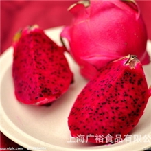 销售优质火龙果越南火龙果170-190元/箱