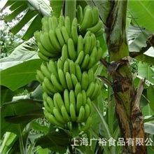 进口菲律宾香蕉5-7把