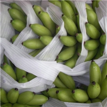 海南香蕉皇帝蕉大果价格优惠欢迎各订购每箱20斤每箱6-7把