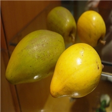 海南鸡蛋果8元一斤10斤一箱味道非常甜个头圆卖相好又名西番莲