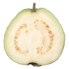 海南特产番石榴珍珠番石榴4元一斤沾盐吃味道更甜大果新鲜