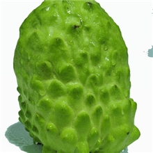 【果园时代】台湾牛奶释迦/佛头凤梨释迦水果/新鲜番荔枝