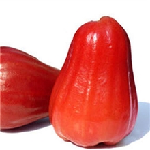 【果园时代】台湾进口新鲜水果台湾莲雾黑珍珠莲雾黑金刚