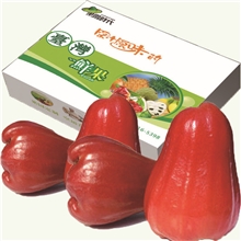 【果园时代】台湾进口水果莲雾新鲜10粒装