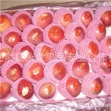 供应出口光果秦冠苹果