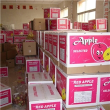 供应套膜袋子小红富士苹果