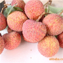 无硫保鲜出口妃子笑荔枝荔枝水果荔枝出口