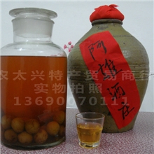 特产青梅酒批发青梅酒酸梅酒梅子酒果酒农家自酿