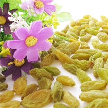 新疆正宗葡萄干绿香妃500克葡萄干批发支持淘宝一件代发货