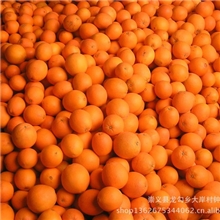 20斤装果农直供赣南脐橙不打蜡-不催熟-不染色-百分百纯天然