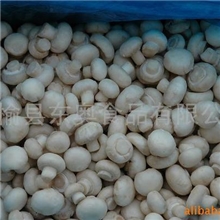 供应速冻双孢菇(整菇以及片和块)