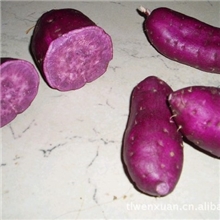 紫薯有机紫薯供应有机紫薯