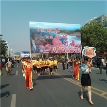 2013石门柑橘节启幕千名游客欢乐采橘