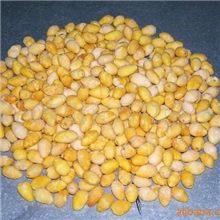 冻干银杏银杏冻干果五谷杂粮磨坊专用