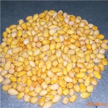 冻干银杏果FD银杏果FD白果，干白果，低温冷冻