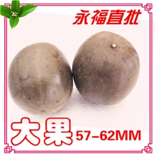 桂林特产罗汉果批发名贵中药材润肺止咳罗汉果茶养生茶