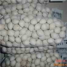 【3.5元特价】低价银杏/白果【170-180】