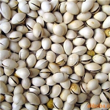 邳州特产银杏开心果原味银杏长寿果