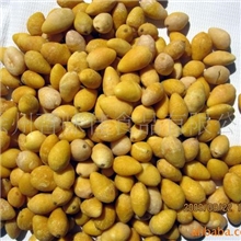 供应健康美食冻干白果仁FD烘干纯天然银杏仁五谷杂粮