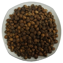 东北山特产开口榛子（散）森骄特产诚招全国加盟代理商