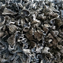 秋木耳厂家直销东北特产长白山特产润肺补脑