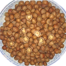 东北特产纯野生小榛子厂家批发长白山特产健脑