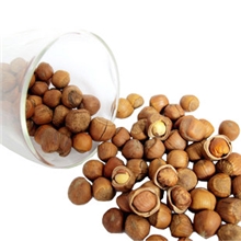年货东北长白山坚果土特产纯野生包山榛子250g