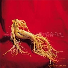 东北人参，人参，移植山参，野生神，干参天然无污染绝对正品