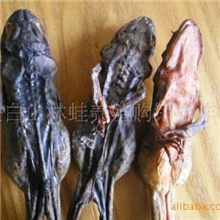 专业制作雪蛤干质量可靠价格合适良心产品