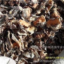 低价出售林蛙皮|林蛙腿|青蛙皮高品质信誉第一