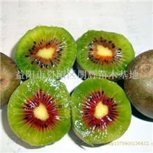 红心猕猴桃