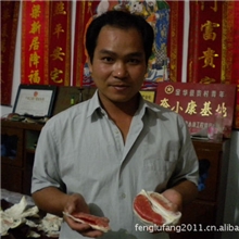 【超低价出售】红肉蜜柚苗金华果苗低价水果苗木批发果树苗木批发