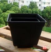 黑色塑料多肉大黑方